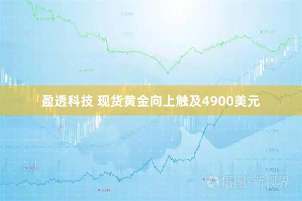 盈透科技 现货黄金向上触及4900美元