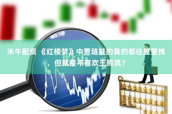 米牛配资 《红楼梦》中贾琏脏的臭的都往屋里拽，但就是不喜欢王熙凤？
