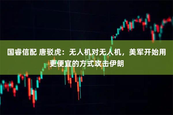 国睿信配 唐驳虎：无人机对无人机，美军开始用更便宜的方式攻击伊朗
