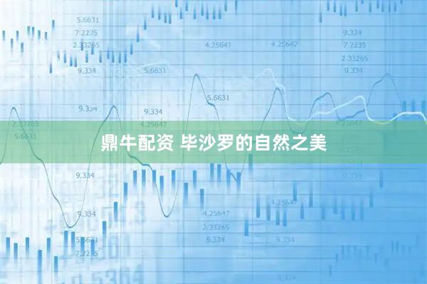 鼎牛配资 毕沙罗的自然之美
