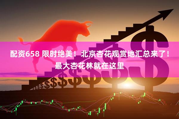 配资658 限时绝美！北京杏花观赏地汇总来了！最大杏花林就在这里