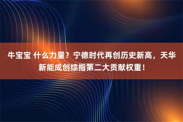 牛宝宝 什么力量？宁德时代再创历史新高，天华新能成创综指第二大贡献权重！