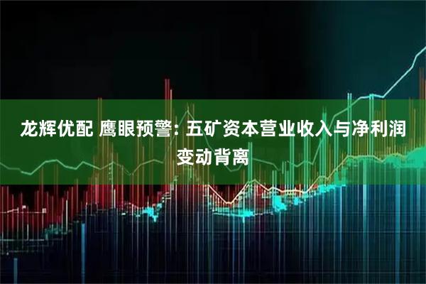 龙辉优配 鹰眼预警: 五矿资本营业收入与净利润变动背离