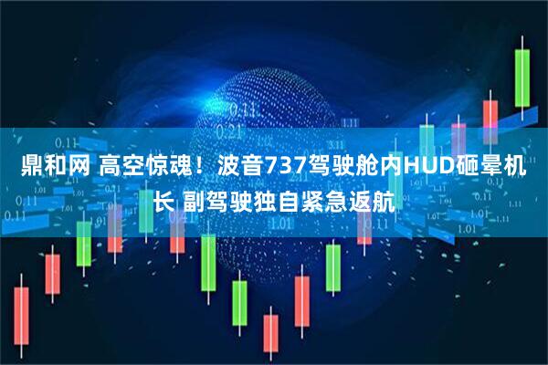 鼎和网 高空惊魂!波音737驾驶舱内HUD砸晕机长 副驾驶独自紧急返航