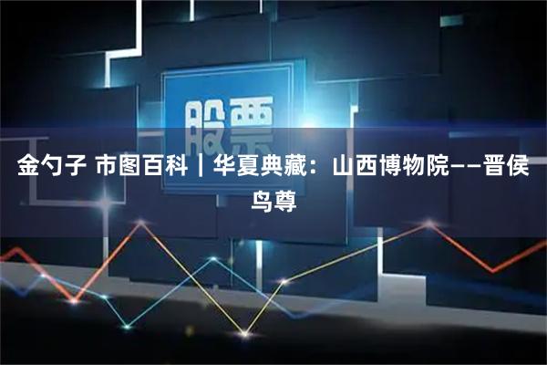 金勺子 市图百科｜华夏典藏：山西博物院——晋侯鸟尊