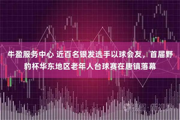 牛盈服务中心 近百名银发选手以球会友，首届野豹杯华东地区老年人台球赛在唐镇落幕
