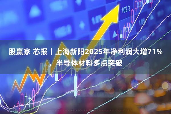 股赢家 芯报丨上海新阳2025年净利润大增71%，半导体材料多点突破