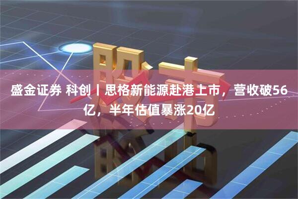 盛金证券 科创丨思格新能源赴港上市,营收破56亿,半年估值暴涨20亿