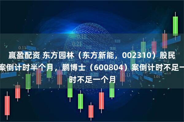 赢盈配资 东方园林（东方新能，002310）股民索赔案倒计时半个月，鹏博士（600804）案倒计时不足一个月