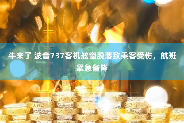 牛来了 波音737客机舷窗脱落致乘客受伤,航班紧急备降