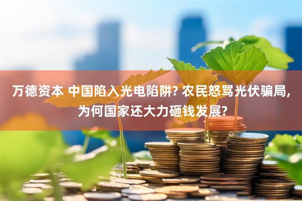万德资本 中国陷入光电陷阱? 农民怒骂光伏骗局, 为何国家还大力砸钱发展?