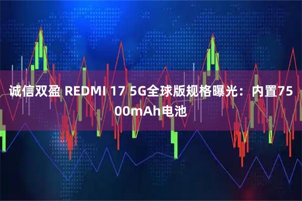 诚信双盈 REDMI 17 5G全球版规格曝光：内置7500mAh电池
